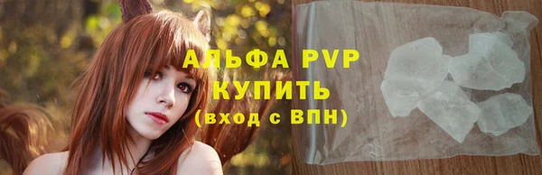 индика Волосово