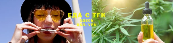 индика Волосово