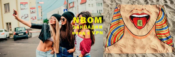 индика Волосово