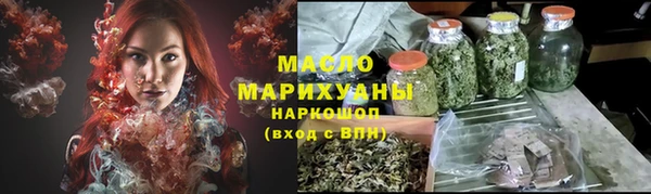 индика Волосово
