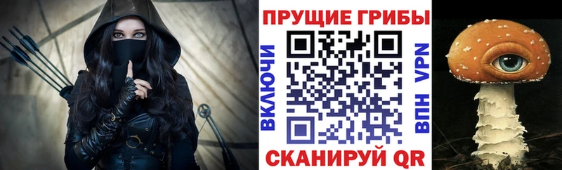 Псилоцибиновые грибы Cubensis  мега ссылки  Заводоуковск 