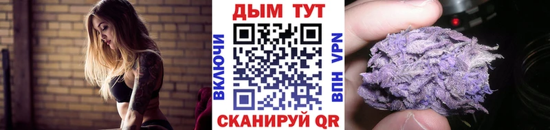 Каннабис конопля Заводоуковск